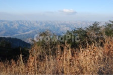 칠보산, 등산로, 휴양림, 계절, 자연, 사진,이미지,일러스트,캘리그라피 - 김창래작가 크라우드픽 - 저작권 걱정 없는 상업용 이미지