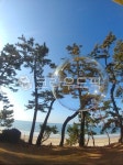 바다, 하늘, 풍경, 비눗방울, 소나무, 사진,이미지,일러스트,캘리그라피 - 홍천뚝배기작가 크라우드픽 - 저작권 걱정 없는 상업용 이미지