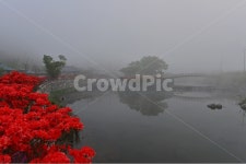 전남, 화순, 한옥마을, 물안개, 아침, 사진,이미지,일러스트,캘리그라피 - 영산공작가 크라우드픽 - 저작권 걱정 없는 상업용 이미지