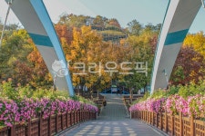 서울, 상암, 하늘공원, 하늘계단, 옥외, 사진,이미지,일러스트,캘리그라피 - imlover작가 크라우드픽 - 저작권 걱정 없는 상업용 이미지