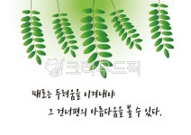 나뭇잎, 두려움, 건너편, 아름다움, 잎사귀, 사진,이미지,일러스트,캘리그라피 - 클릭디자인작가 크라우드픽 - 저작권 걱정 없는 상업용 이미지