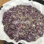 꽃차만들기, 칡꽃차, 칡꽃, 갈화차, 보라색꽃, 사진,이미지,일러스트,캘리그라피 - 철랑작가 크라우드픽 - 저작권 걱정 없는 상업용 이미지