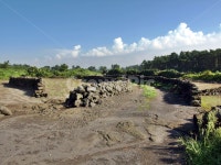 농로, 길, 올레, 올레20코스, 제주, 사진,이미지,일러스트,캘리그라피 - Deep bLUE작가 크라우드픽 - 저작권 걱정 없는 상업용 이미지