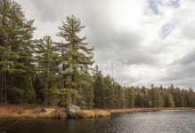 알공퀸파크, 국립공원, 캐나다, 가을, 호수, 사진,이미지,일러스트,캘리그라피 - coool885작가 크라우드픽 - 저작권 걱정 없는 상업용 이미지