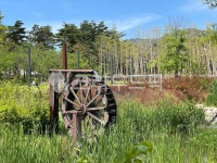 물레방아, 시골의, 자연, 필드, 농장, 사진,이미지,일러스트,캘리그라피 - 유리유리작가 크라우드픽 - 저작권 걱정 없는 상업용 이미지