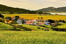 field, 들, farm, 농장, rural, 사진,이미지,일러스트,캘리그라피 - 영산공작가 크라우드픽 - 저작권 걱정 없는 상업용 이미지