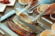 장어, 민물장어, 고창장어, 풍천장어, 고창풍천장어, 사진,이미지,일러스트,캘리그라피 - 미미스튜디오작가 크라우드픽 - 저작권 걱정 없는 상업용... 