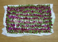 해당화, 꽃차만들기, 당뇨효능, 향기좋은차, 해당화꽃차, 사진,이미지,일러스트,캘리그라피 - qkdiqk3작가 크라우드픽 - 저작권 걱정 없는... 