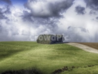 스코틀랜드풍경, 그린힐, 양떼목장, 영국풍경, 풍경, 사진,이미지,일러스트,캘리그라피 - 오나시스작가 크라우드픽 - 저작권 걱정 없는 상업용 이미지