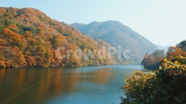가을, 단풍, 자연, 풍경, 강, 사진,이미지,일러스트,캘리그라피 - 김사과작가 크라우드픽 - 저작권 걱정 없는 상업용 이미지