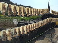 길, walkway, 보도, road, 도로, 사진,이미지,일러스트,캘리그라피 - 스틴작가 크라우드픽 - 저작권 걱정 없는 상업용 이미지