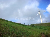 풍력, 풍력발전, 고지대, 강원도, 육백마지기, 사진,이미지,일러스트,캘리그라피 - 방구석중년작가 크라우드픽 - 저작권 걱정 없는 상업용 이미지