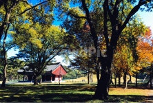 역사, 경주, 오릉, 건축물, 자연, 사진,이미지,일러스트,캘리그라피 - ROSA작가 크라우드픽 - 저작권 걱정 없는 상업용 이미지