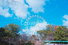관람차, 놀이동산, 유원지, ferriswheel, amusementpark, 사진,이미지,일러스트,캘리그라피 - 이상해씨작가 크라우드픽 - 저작권 걱정 없는... 