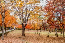 공원, 어린이대공원, 서울어린이대공원, 산책, 산책로, 사진,이미지,일러스트,캘리그라피 - imlover작가 크라우드픽 - 저작권 걱정 없는 상업용... 