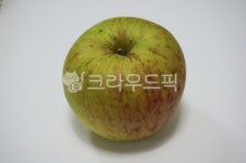 사과, apple, 햇사과, 여름사과, 연두사과, 사진,이미지,일러스트,캘리그라피 - joyfulharu작가 크라우드픽 - 저작권 걱정 없는 상업용 이미지