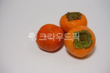감, persimmon, 단감, 과일, fruit, 사진,이미지,일러스트,캘리그라피 - RAN2작가 크라우드픽 - 저작권 걱정 없는 상업용 이미지