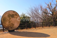 우암동, 달모형, 나무, 자연, 공원, 사진,이미지,일러스트,캘리그라피 - 제마천주작가 크라우드픽 - 저작권 걱정 없는 상업용 이미지