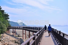 대부해솔길, 대부도, 둘레길, 산책로, 데크, 사진,이미지,일러스트,캘리그라피 - space작가 크라우드픽 - 저작권 걱정 없는 상업용 이미지