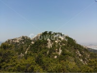 용봉산, 충남, 봄, 바위, 햇살, 사진,이미지,일러스트,캘리그라피 - 은하수작가 크라우드픽 - 저작권 걱정 없는 상업용 이미지