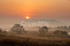 경남, 김해, 화포천, 화포천습지생태공원, 화포천일출, 사진,이미지,일러스트,캘리그라피 - 영산공작가 크라우드픽 - 저작권 걱정 없는 상업용 이미지