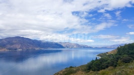 뉴질랜드, 와카키, 호수, 바다, 구름, 사진,이미지,일러스트,캘리그라피 - 유플작가 크라우드픽 - 저작권 걱정 없는 상업용 이미지