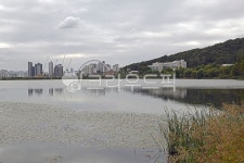 천호지, 단대호수, 자연, 호수공원, 근린공원, 사진,이미지,일러스트,캘리그라피 - Deep bLUE작가 크라우드픽 - 저작권 걱정 없는 상업용 이미지