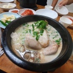 삼계탕, 한식, 들깨삼계탕, food, 음식, 사진,이미지,일러스트,캘리그라피 - 쿨누나작가 크라우드픽 - 저작권 걱정 없는 상업용 이미지