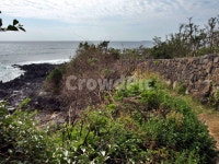 올레5코스, 올레길, 제주, 서귀포시, 위미동, 사진,이미지,일러스트,캘리그라피 - Deep bLUE작가 크라우드픽 - 저작권 걱정 없는 상업용 이미지