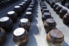 항아리, 장독대, 옹기, 김장독, 도예, 사진,이미지,일러스트,캘리그라피 - 천창기작가 크라우드픽 - 저작권 걱정 없는 상업용 이미지