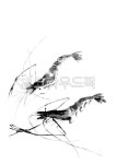 동양화, 수묵화, 일러스트, 동양화일러스트, 수묵일러스트, 사진,이미지,일러스트,캘리그라피 - see862작가 크라우드픽 - 저작권 걱정 없는... 