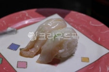 생선초밥, 초밥, 광어초밥, 광어사시미, 광어회, 사진,이미지,일러스트,캘리그라피 - Nhide_pose작가 크라우드픽 - 저작권 걱정 없는 상업용... 