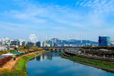 서울, 중랑천, 동부간선도로, 응봉교, 산책, 사진,이미지,일러스트,캘리그라피 - imlover작가 크라우드픽 - 저작권 걱정 없는 상업용 이미지