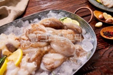 산주꾸미, 산쭈꾸미, 주꾸미, 쭈꾸미, 요리, 사진,이미지,일러스트,캘리그라피 - brand1st작가 크라우드픽 - 저작권 걱정 없는 상업용 이미지