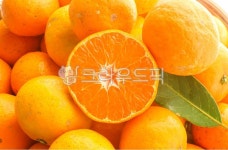 citrusfruit, 감귤류과일, 음식, 주황색, 귤잎, 사진,이미지,일러스트,캘리그라피 - elisha작가 크라우드픽 - 저작권 걱정 없는 상업용 이미지