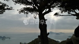 자연, 노을, 소나무, tree, nature, 사진,이미지,일러스트,캘리그라피 - padi97작가 크라우드픽 - 저작권 걱정 없는 상업용 이미지