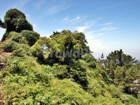 애기업은돌, 제주, 올레18코스, 올레길, 전설, 사진,이미지,일러스트,캘리그라피 - Deep bLUE작가 크라우드픽 - 저작권 걱정 없는 상업용 이미지