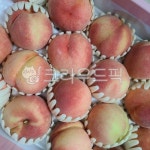 복숭아, peach, 복숭아포장, 제철과일, 여름과일, 사진,이미지,일러스트,캘리그라피 - Nsojungod작가 크라우드픽 - 저작권 걱정 없는 상업용... 