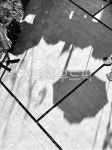 흑백, 그림자, 빛, 햇빛, sunlight, 사진,이미지,일러스트,캘리그라피 - 겨울의추억작가 크라우드픽 - 저작권 걱정 없는 상업용 이미지