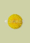 삶을디자인하다봄꽃 | 봄, 식물, 자연, 꽃, 봄꽃, 사진,이미지,일러스트,캘리그라피 - 유자디자인작가 크라우드픽 - 저작권 걱정 없는 상업용 이미지