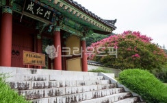 자연, 풍경, 경치, 포충사, 배롱나무꽃, 사진,이미지,일러스트,캘리그라피 - 서은작가 크라우드픽 - 저작권 걱정 없는 상업용 이미지