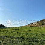 farm, 농장, field, 필드, nature, 사진,이미지,일러스트,캘리그라피 - 냉정한작가 크라우드픽 - 저작권 걱정 없는 상업용 이미지