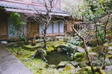 일본, 고즈넉, 정원, 분위기, 감성, 사진,이미지,일러스트,캘리그라피 - 하치작가 크라우드픽 - 저작권 걱정 없는 상업용 이미지