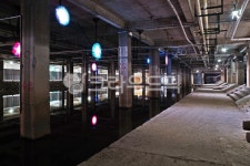 홍제유연, 숨길, 홀로그램, 홍제동, 유연, 사진,이미지,일러스트,캘리그라피 - Deep bLUE작가 크라우드픽 - 저작권 걱정 없는 상업용 이미지