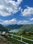춘천, 강원도, 목장, 숲, 산, 사진,이미지,일러스트,캘리그라피 - 7Summn작가 크라우드픽 - 저작권 걱정 없는 상업용 이미지