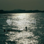 서핑, 윤슬, 바다, person, human, 사진,이미지,일러스트,캘리그라피 - jieunpic작가 크라우드픽 - 저작권 걱정 없는 상업용 이미지