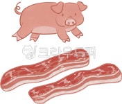 돼지, 꿀꿀, 삼겹살, 핑크, 등심, 사진,이미지,일러스트,캘리그라피 - 공공칠빵빵작가 크라우드픽 - 저작권 걱정 없는 상업용 이미지