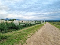 reed, 갈대, nature, 자연, outdoors, 사진,이미지,일러스트,캘리그라피 - keypoint44작가 크라우드픽 - 저작권 걱정 없는 상업용 이미지