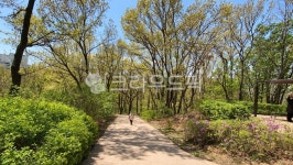 오솔길, 산책, 동산, 숲길, 피톤치드, 사진,이미지,일러스트,캘리그라피 - 은작가네작가 크라우드픽 - 저작권 걱정 없는 상업용 이미지