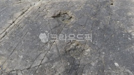 공룡발자국화석, 새발자국화석, 고성덕명리공룡과새발자국화석산지, 천연기념물제411호, 경남, 사진,이미지,일러스트,캘리그라피 - 행복신작가... 